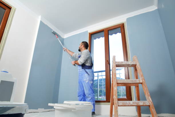 Best Drywall Sanding and Smoothing  in Scenic Oaks, TX