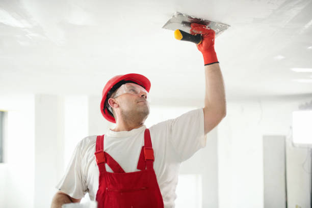 Best Commercial Painting  in Scenic Oaks, TX